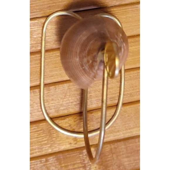 Brown Fig Cone Conus Figulinus Seashell Hanging Display Nautical Decor 3.5x3x1.5 - Picture 4 of 13